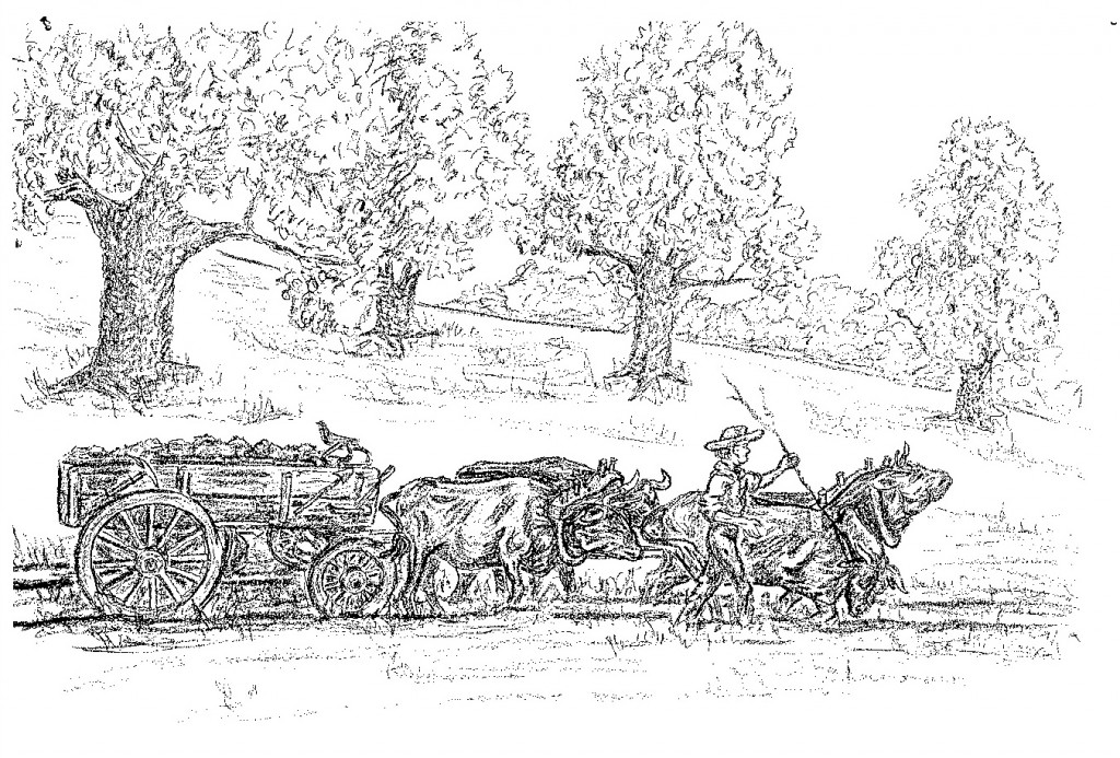 Hauling slag by Terri Kinsman